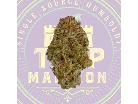 Banana Punch Mixed Light Flower