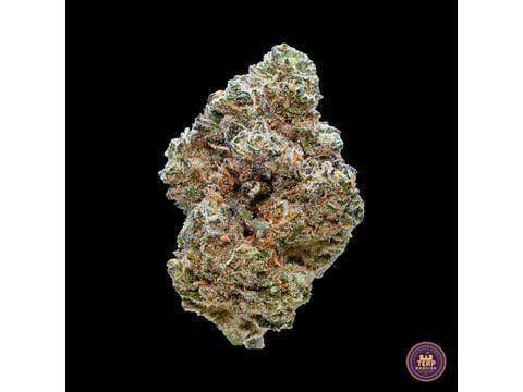 Banana Cream Cake X Jealousy Indoor Flower (14 Gram Smalls)