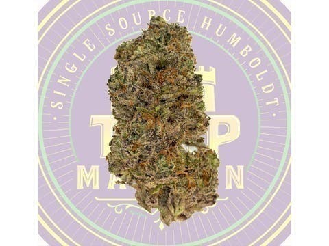 Grape Jelly Mixed Light Flower (3.5 Grams)