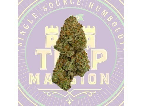 Gushers Mixed Light Flower (3.5 Gram)