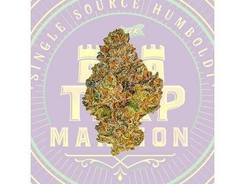 London Jelly Mixed Light Flower (3.5 Gram)