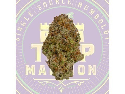 Banana Punch Mixed Light Flower (3.5 Grams)