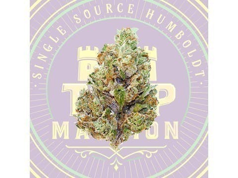 Zkittlez X Chem Mixed Light Flower (3.5 Gram Smalls)