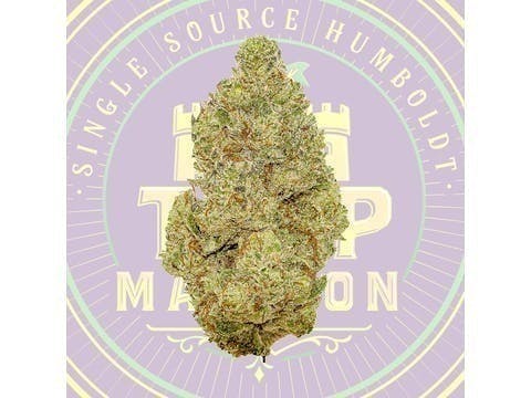 Cookies N Cream Mixed Light Flower (14 Gram Smalls)