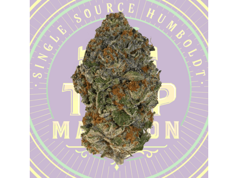 Black Cherry Gelato Mixed Light Flower (3.5 Gram Smalls)