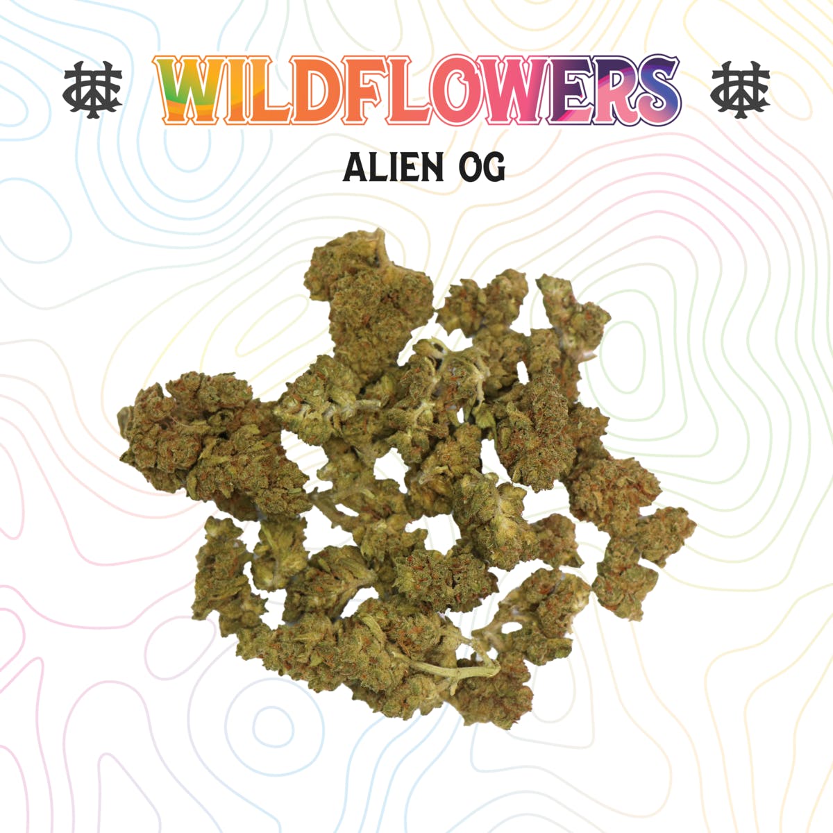 Alien OG | 3.5g | Sungrown