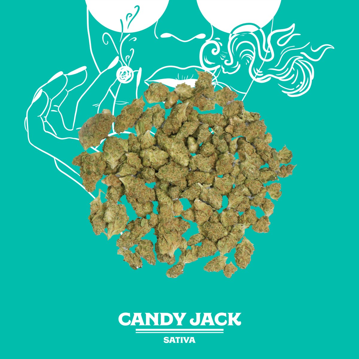Candy Jack | 14g | Sungrown