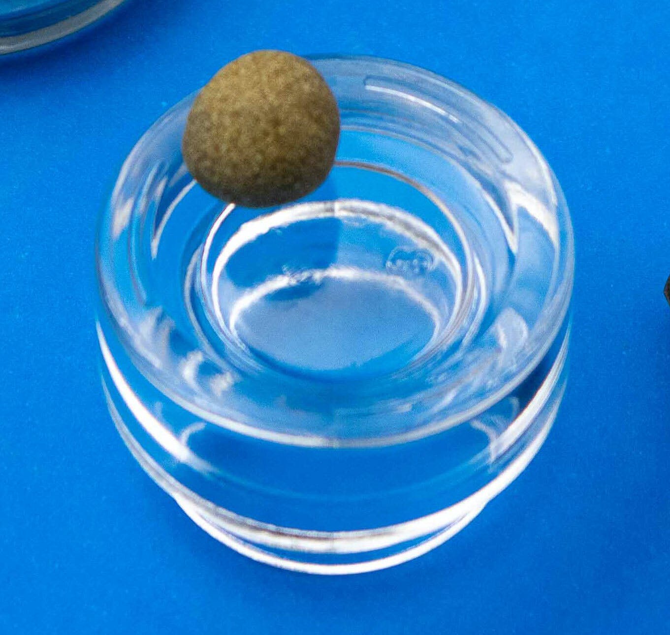 White Widow Temple Ball Gram (73% THC, HYBRID)