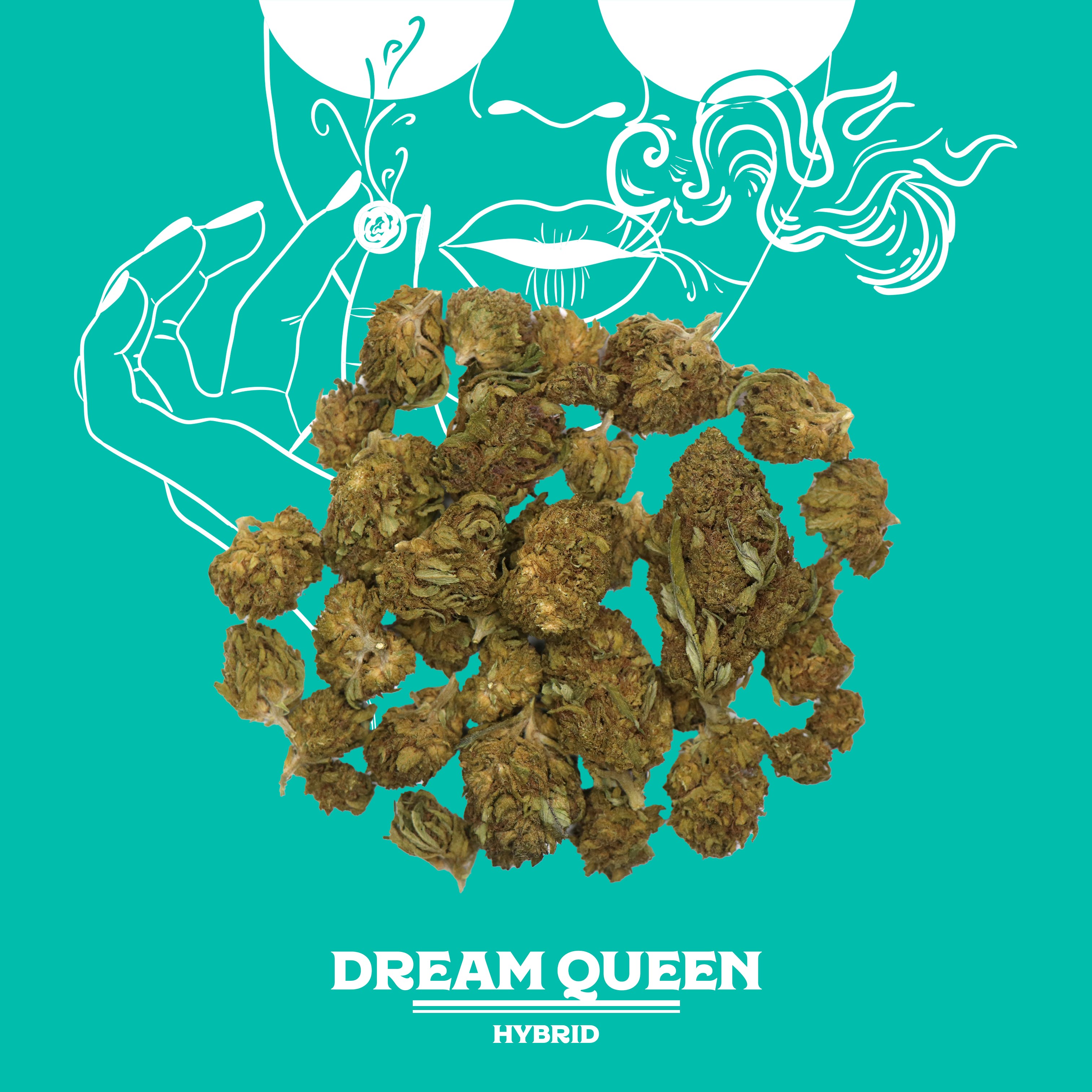 Dream Queen | 14g | Sungrown