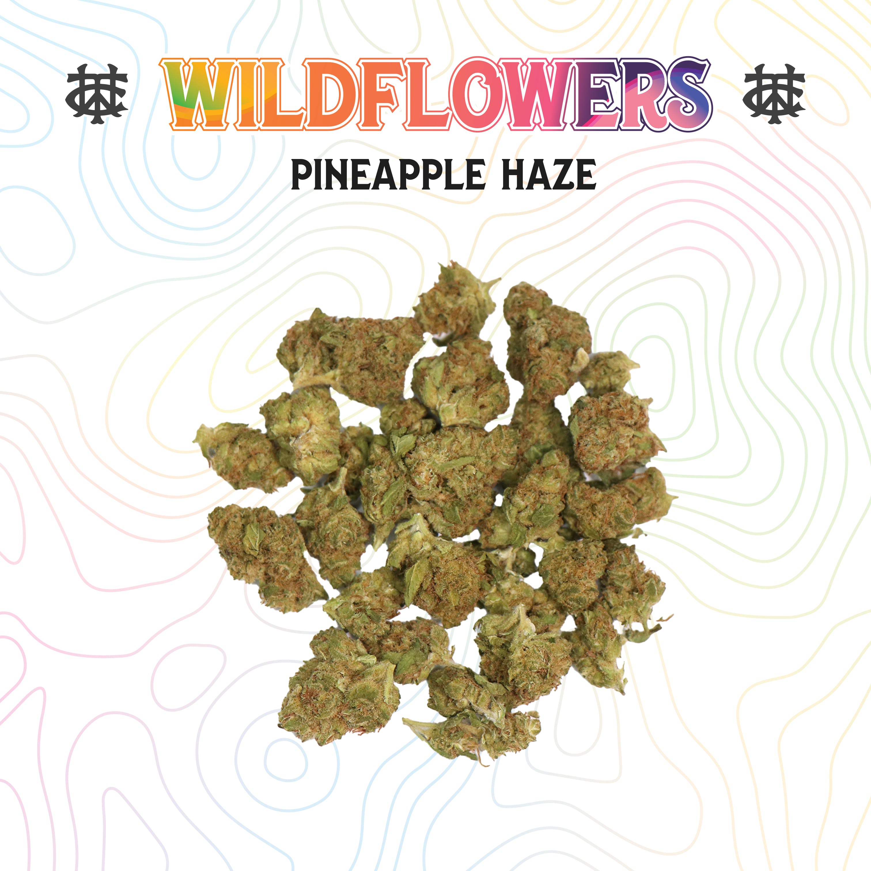 Pineapple Haze | 3.5g | Sungrown