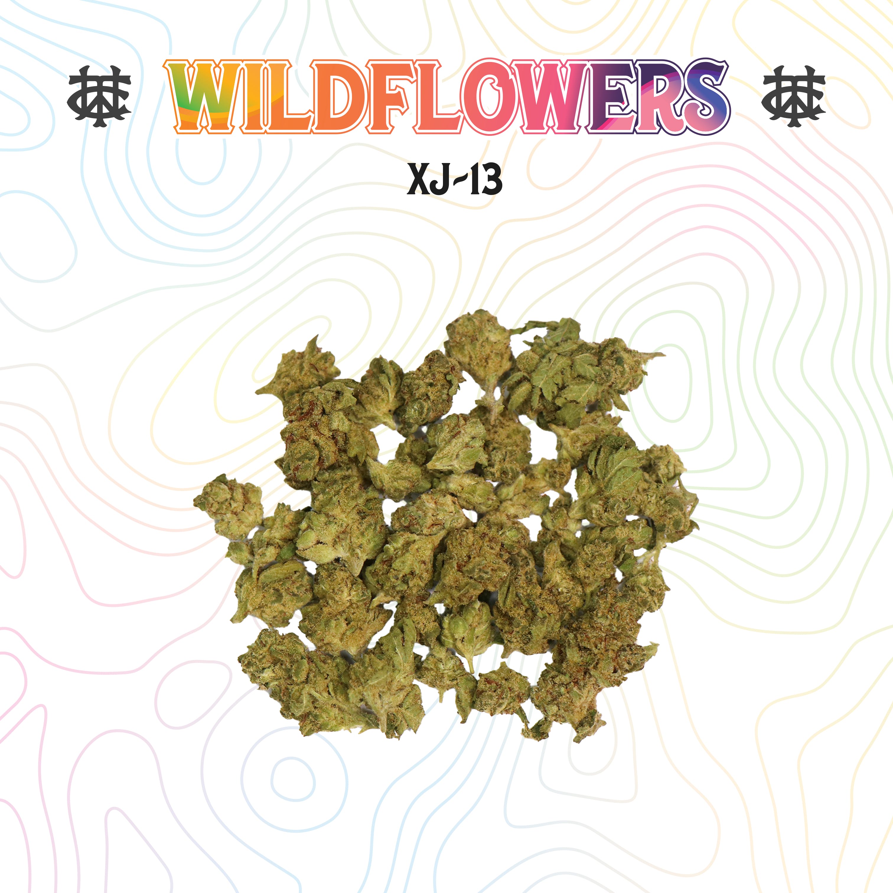 XJ-13 | 3.5g | Sungrown Smalls