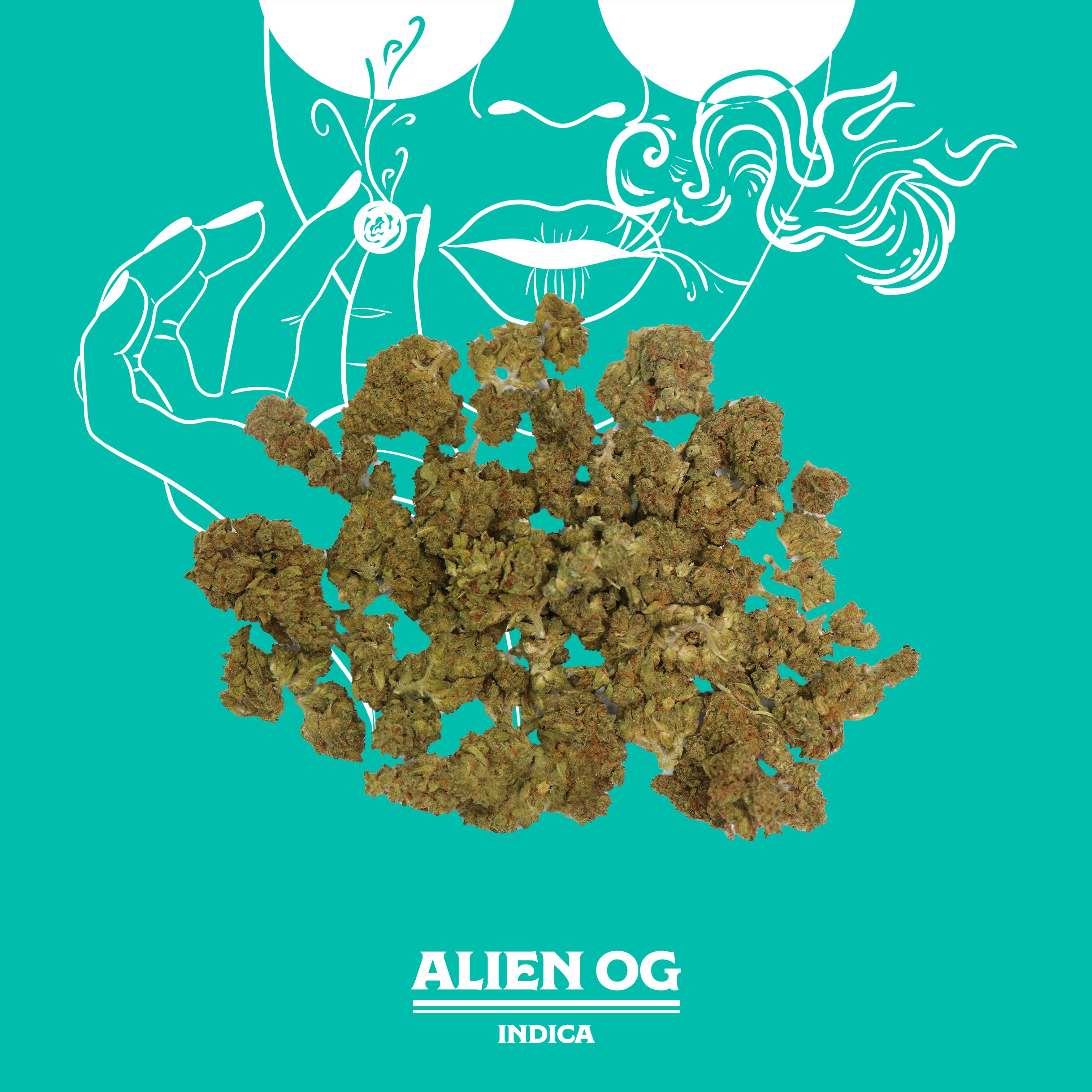 Alien OG | 28g | Sungrown