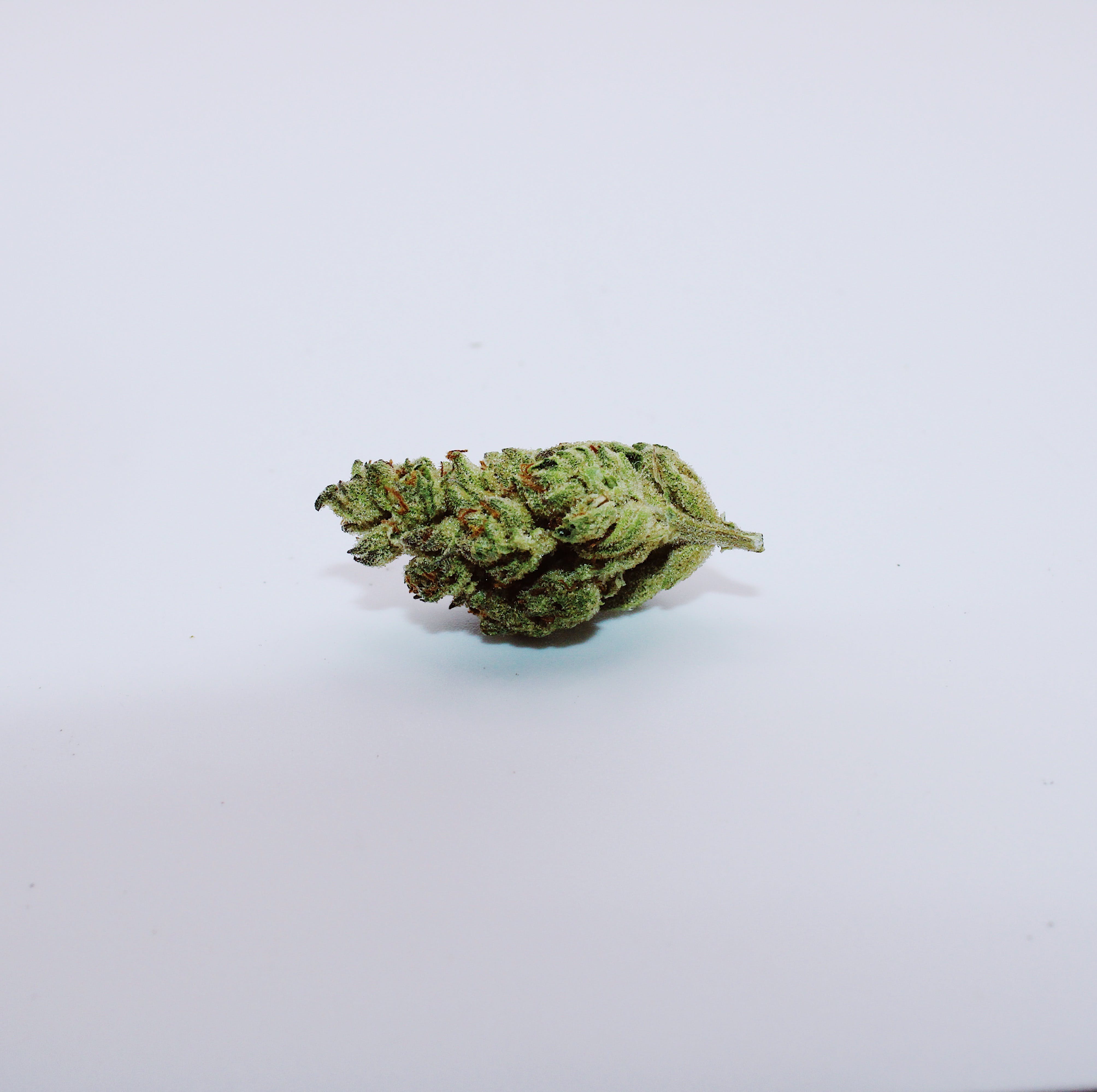 First Class Funk Ounce/28.3Grams (31% THC, INDICA)