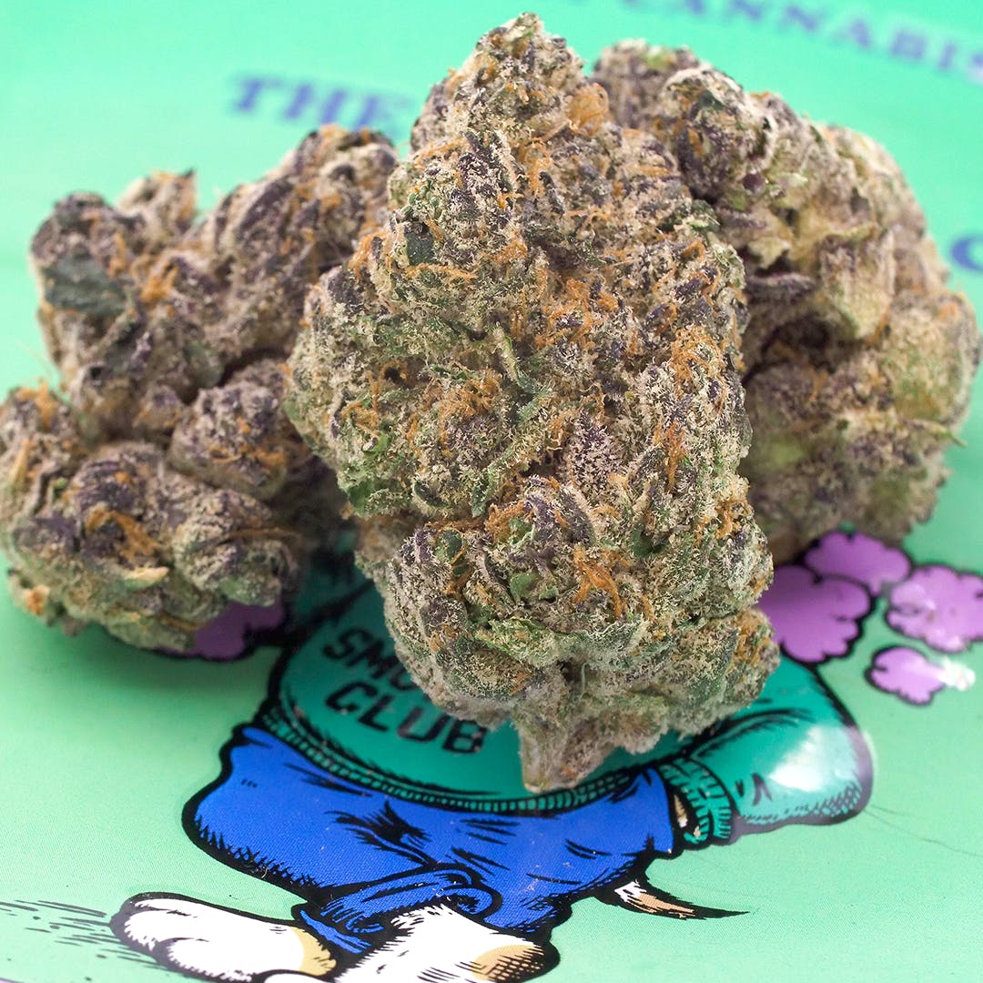 Blutarsky - The Smoker's Club