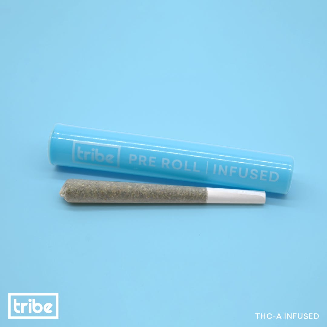 THCa Infused Pre-Roll - 1 Gram