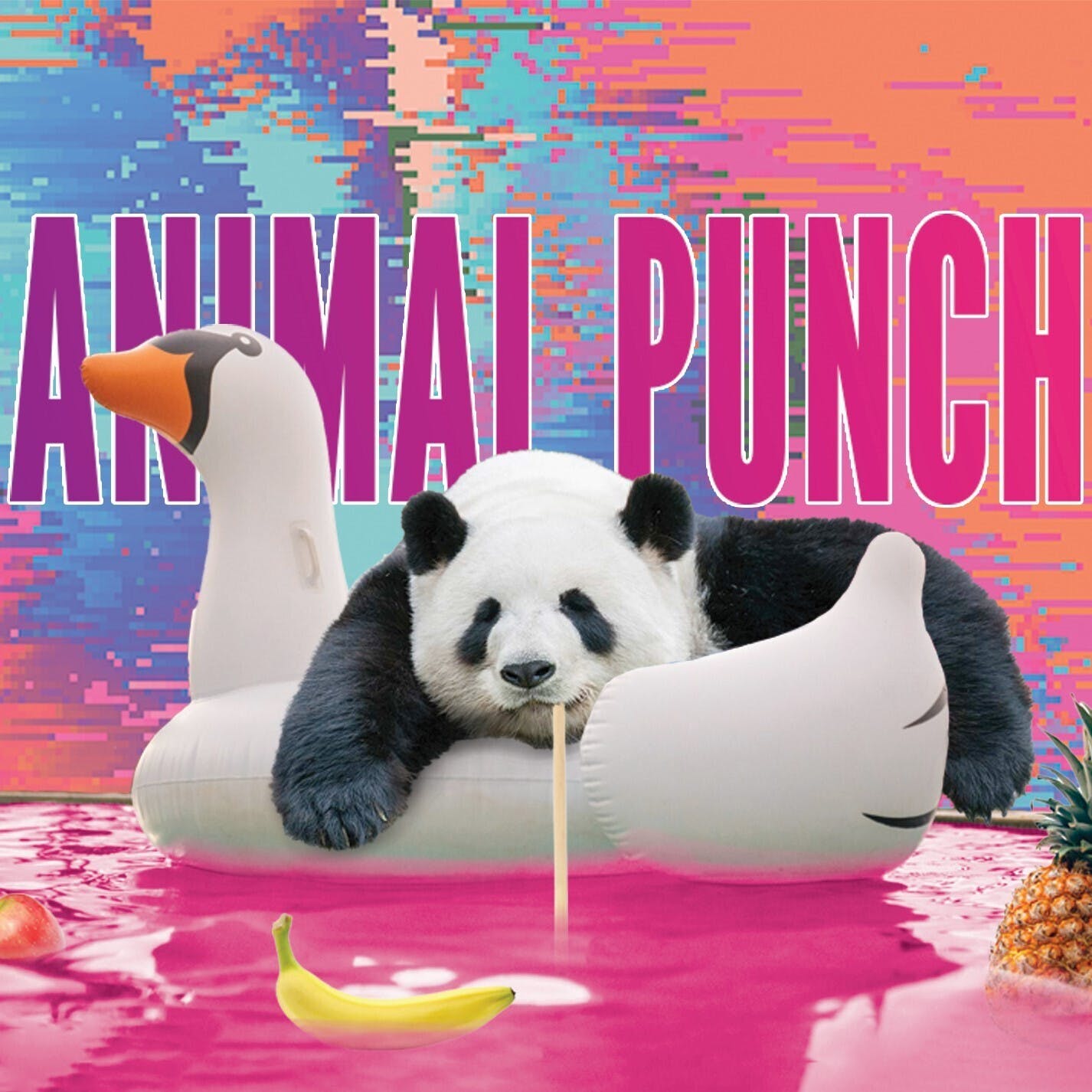 Animal Punch - Preroll