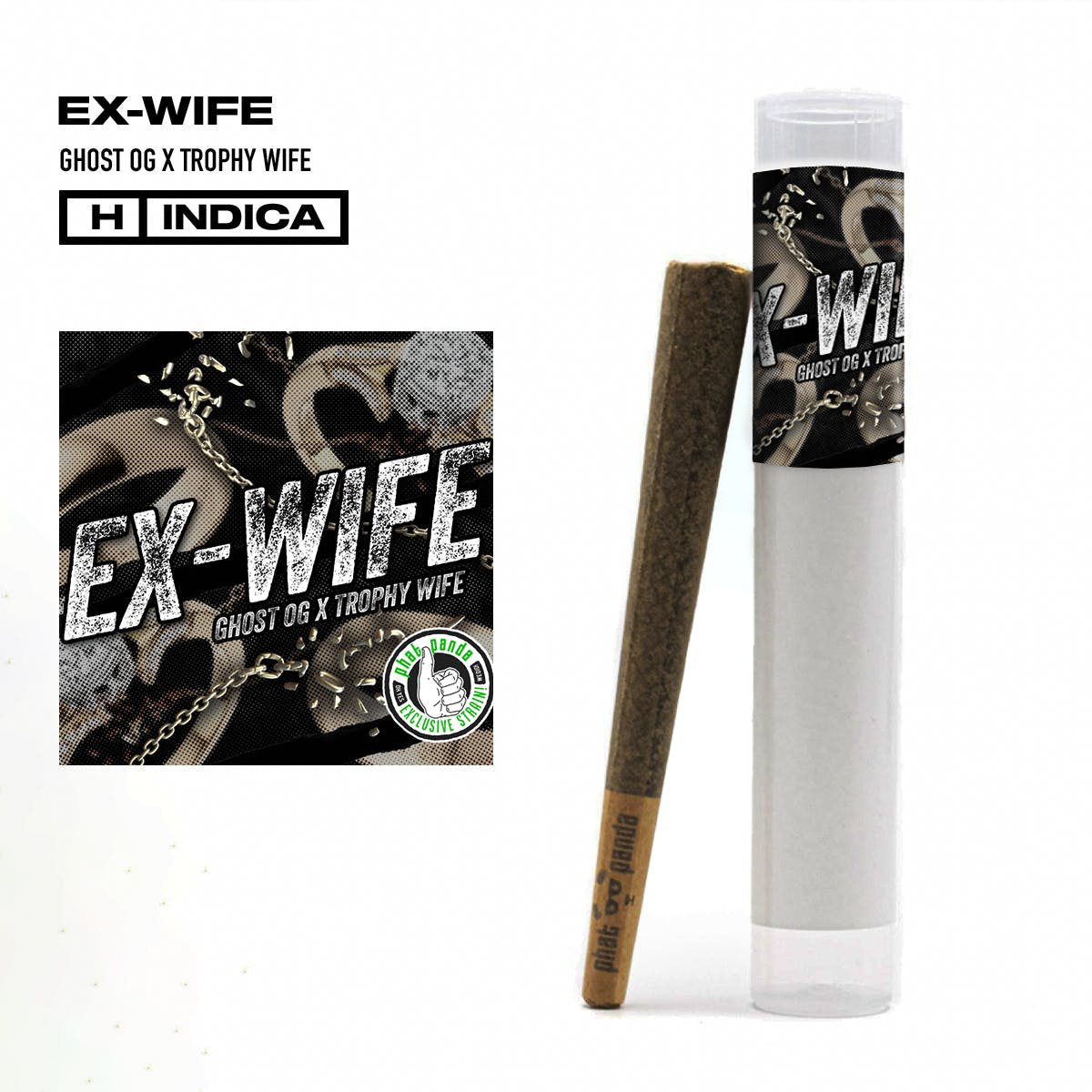 Ex Wife - Preroll