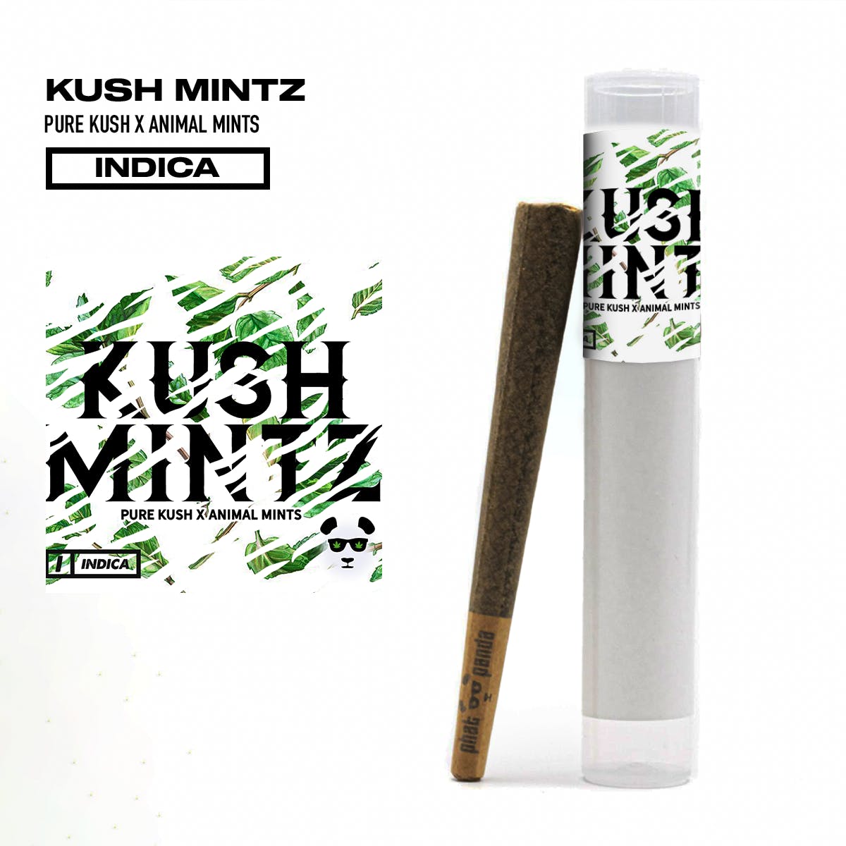 Kush Mintz - Preroll
