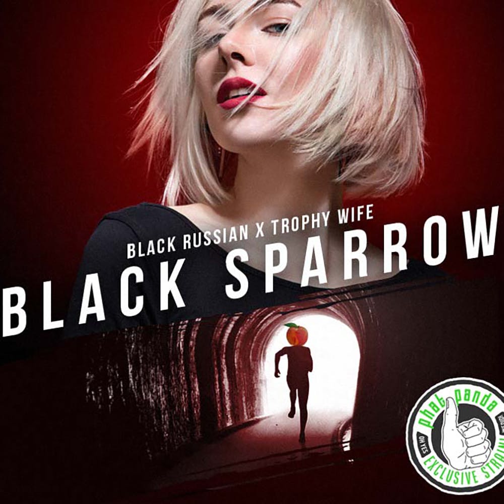 Black Sparrow - Preroll