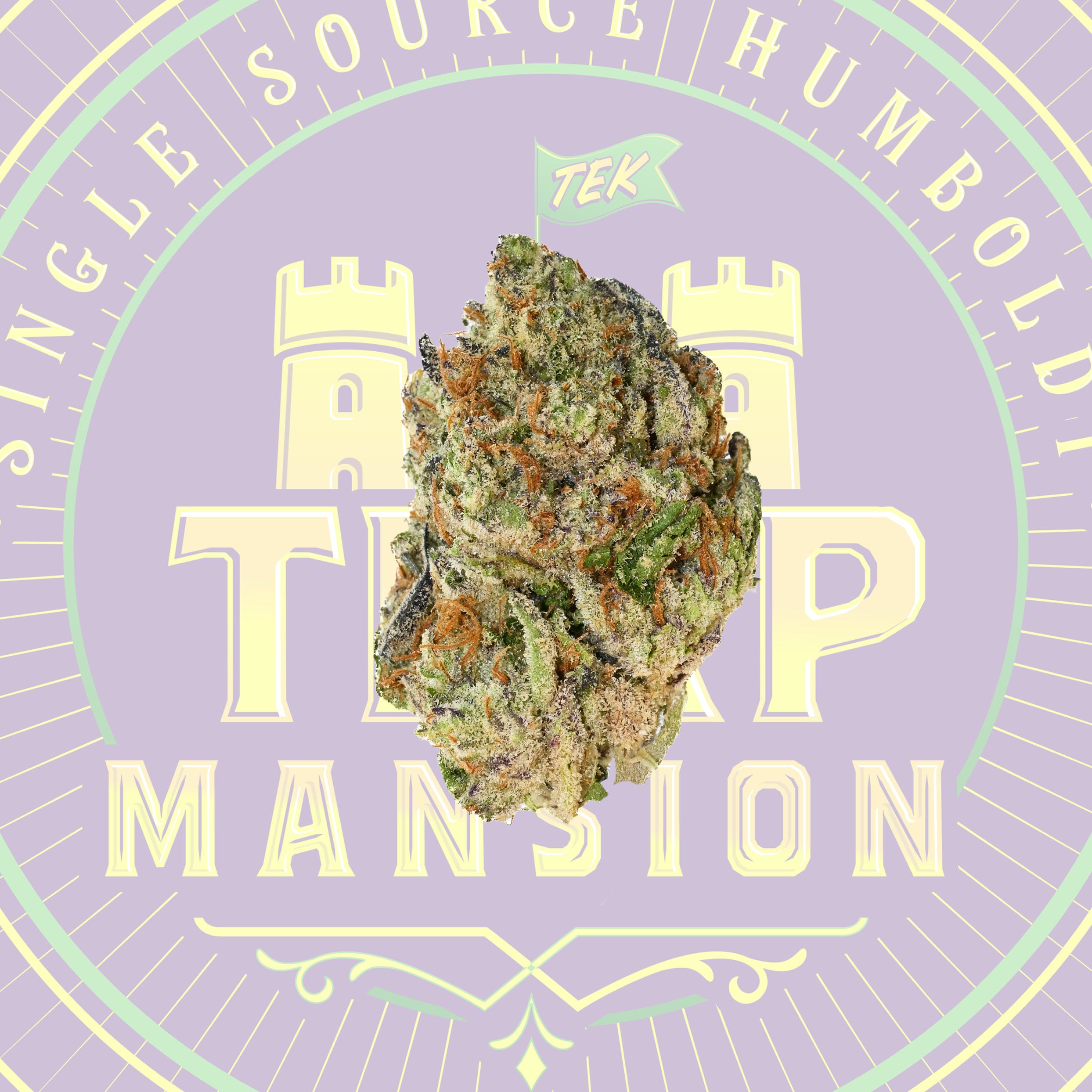 Mint Jelly Mixed Light Flower Smalls (14 grams)