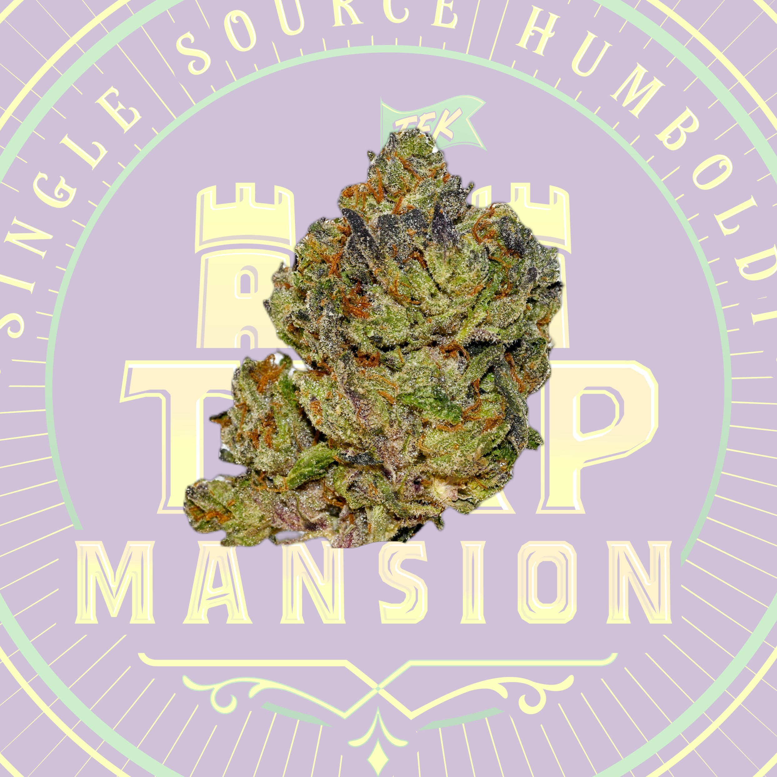 Mint Gelato Mixed Light FLower Smalls (14 Grams)