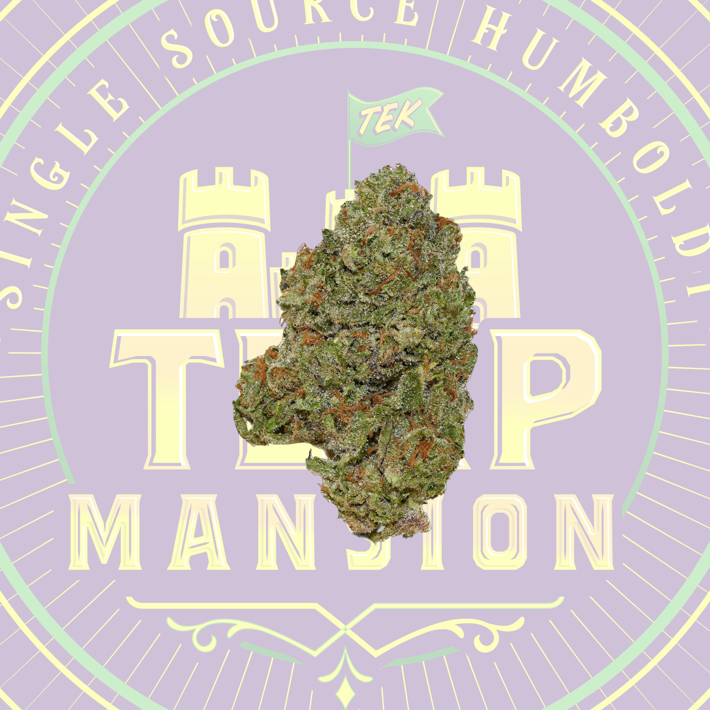 Lemon Cherry Gelato Mixed Light Flower Smalls (3.5 grams)