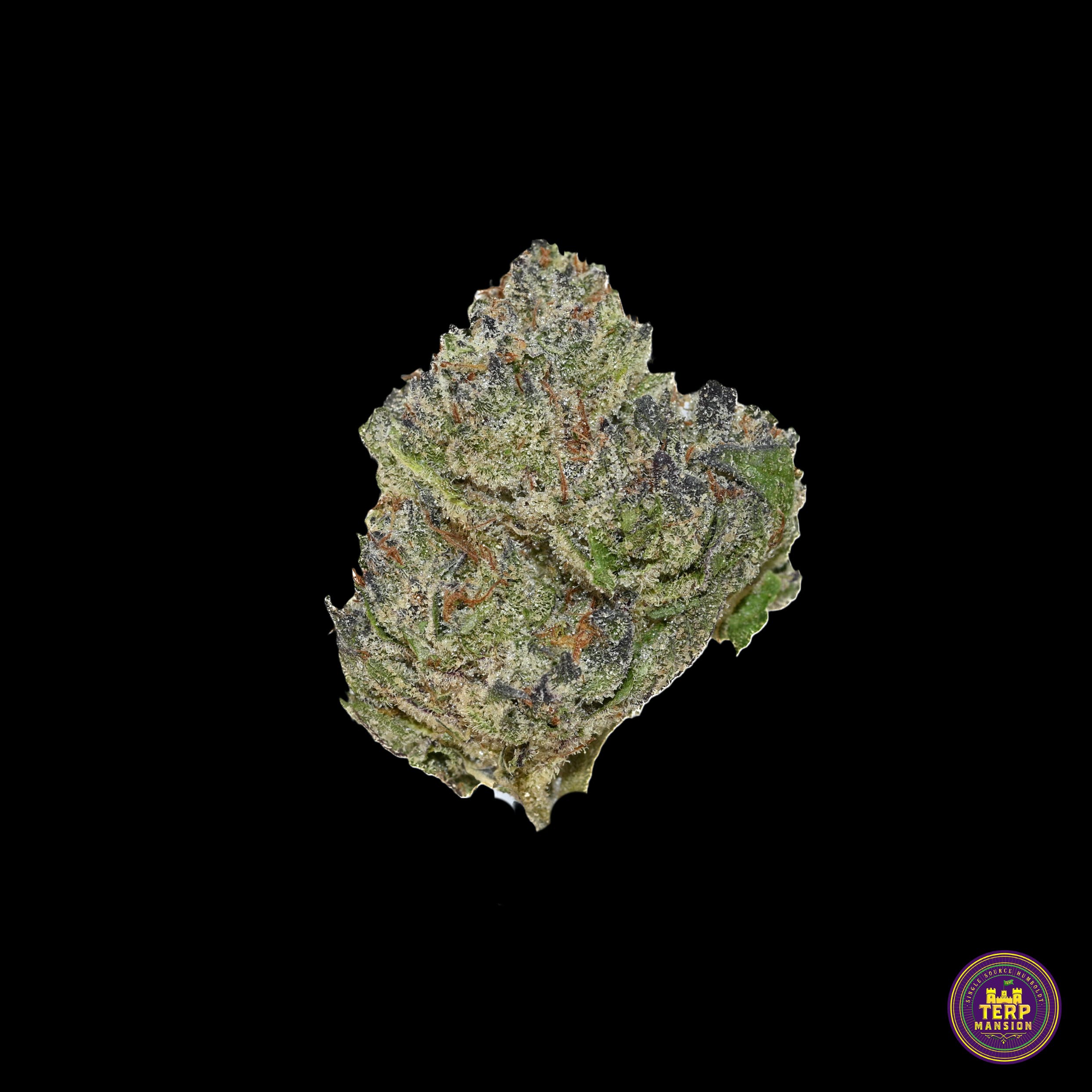 White Oreoz Indoor Flower Smalls (14 Grams)