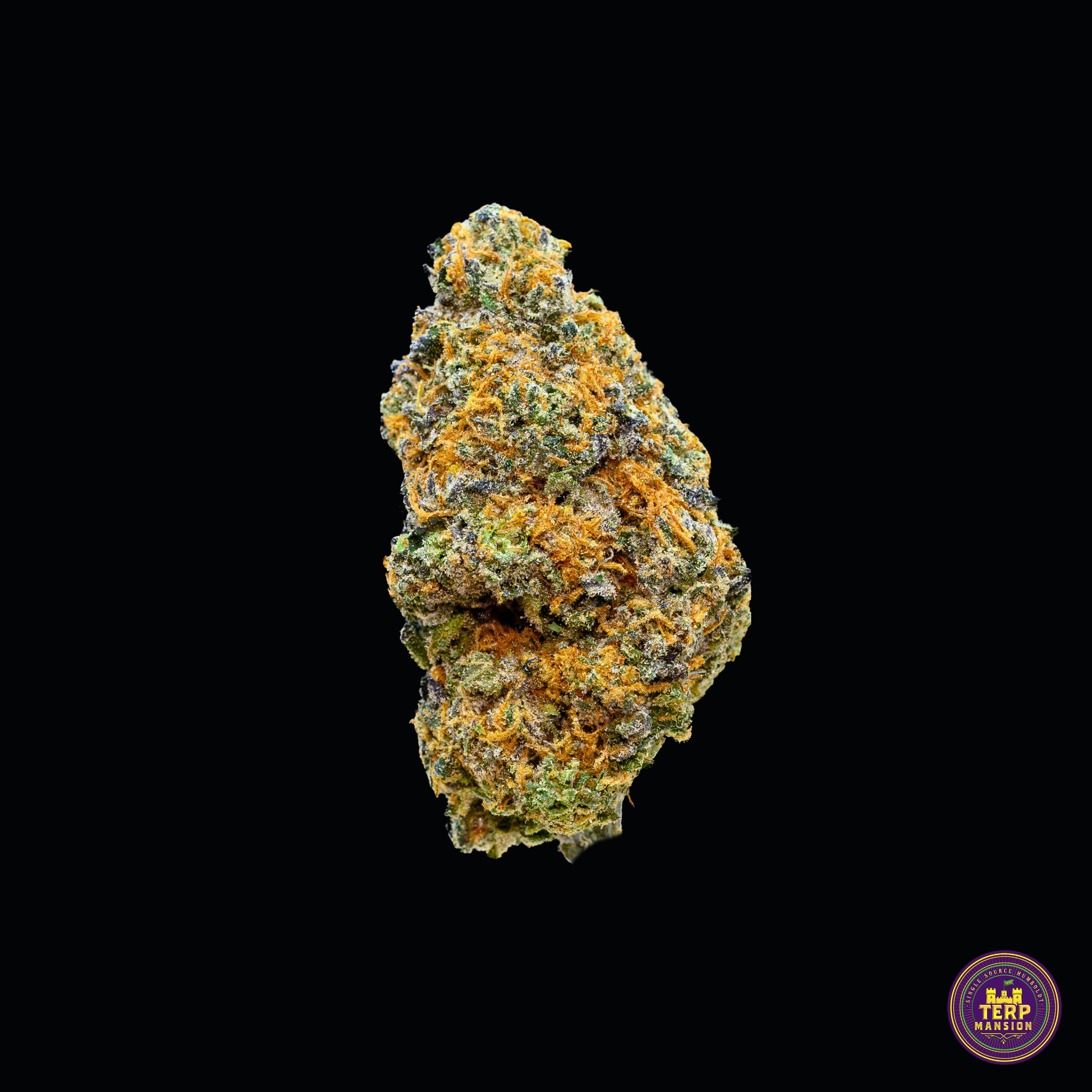 Sour Gelato Indoor Flower Smalls (14 Grams)