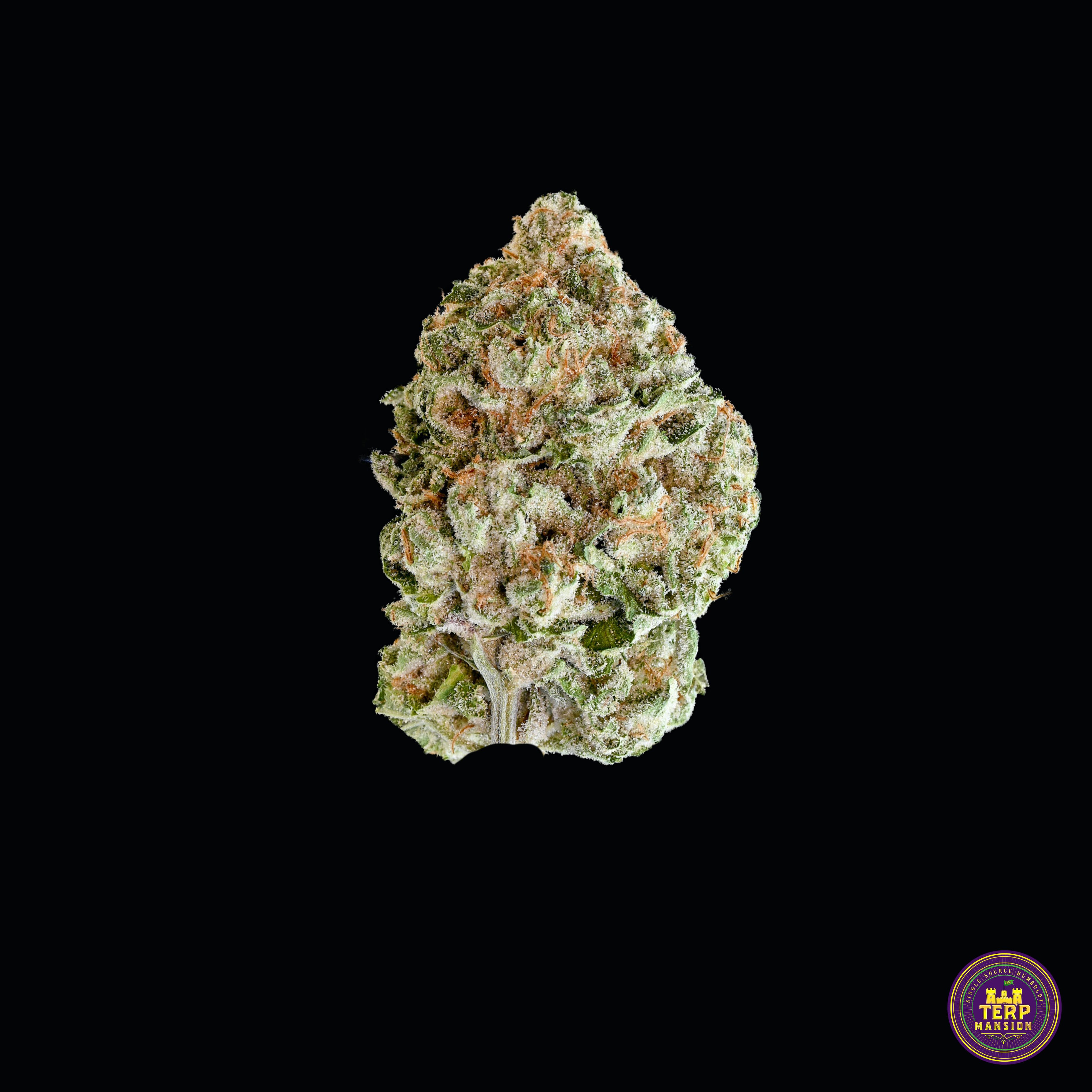 Strawberry Biscotti Indoor Smalls (14 Grams)