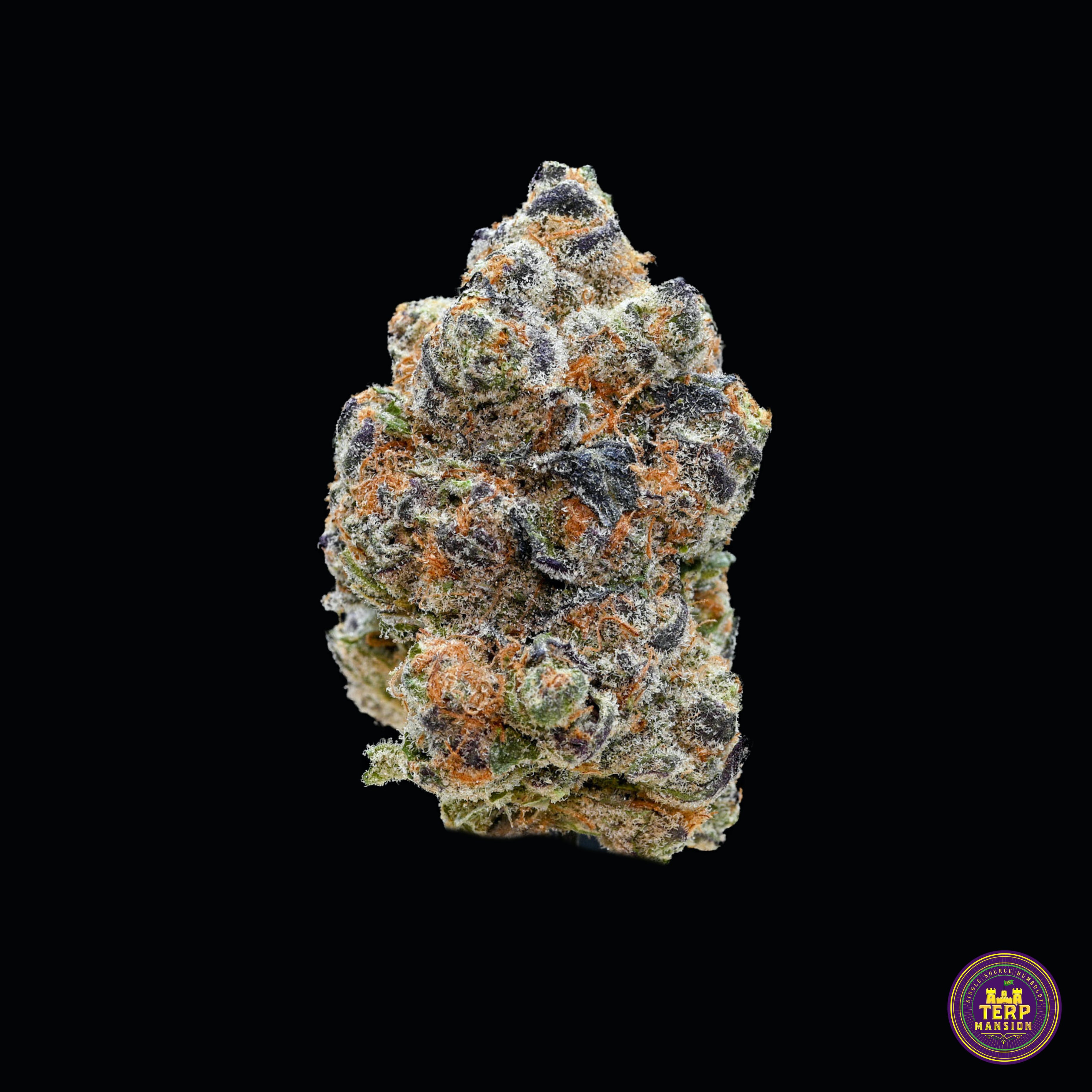 Poddy Mouth Indoor Flower Smalls (14 grams)