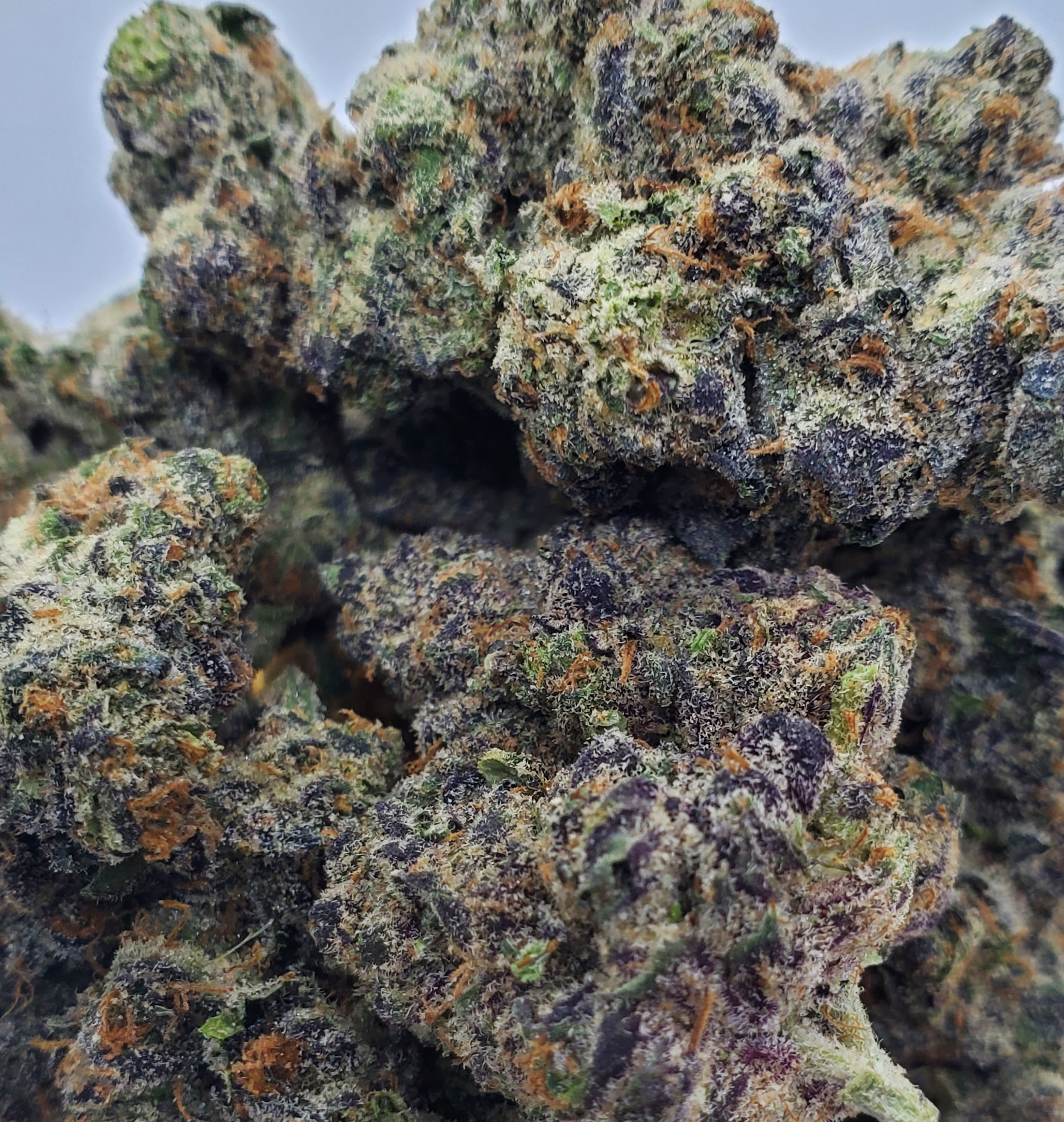 Bubblegum Gelato