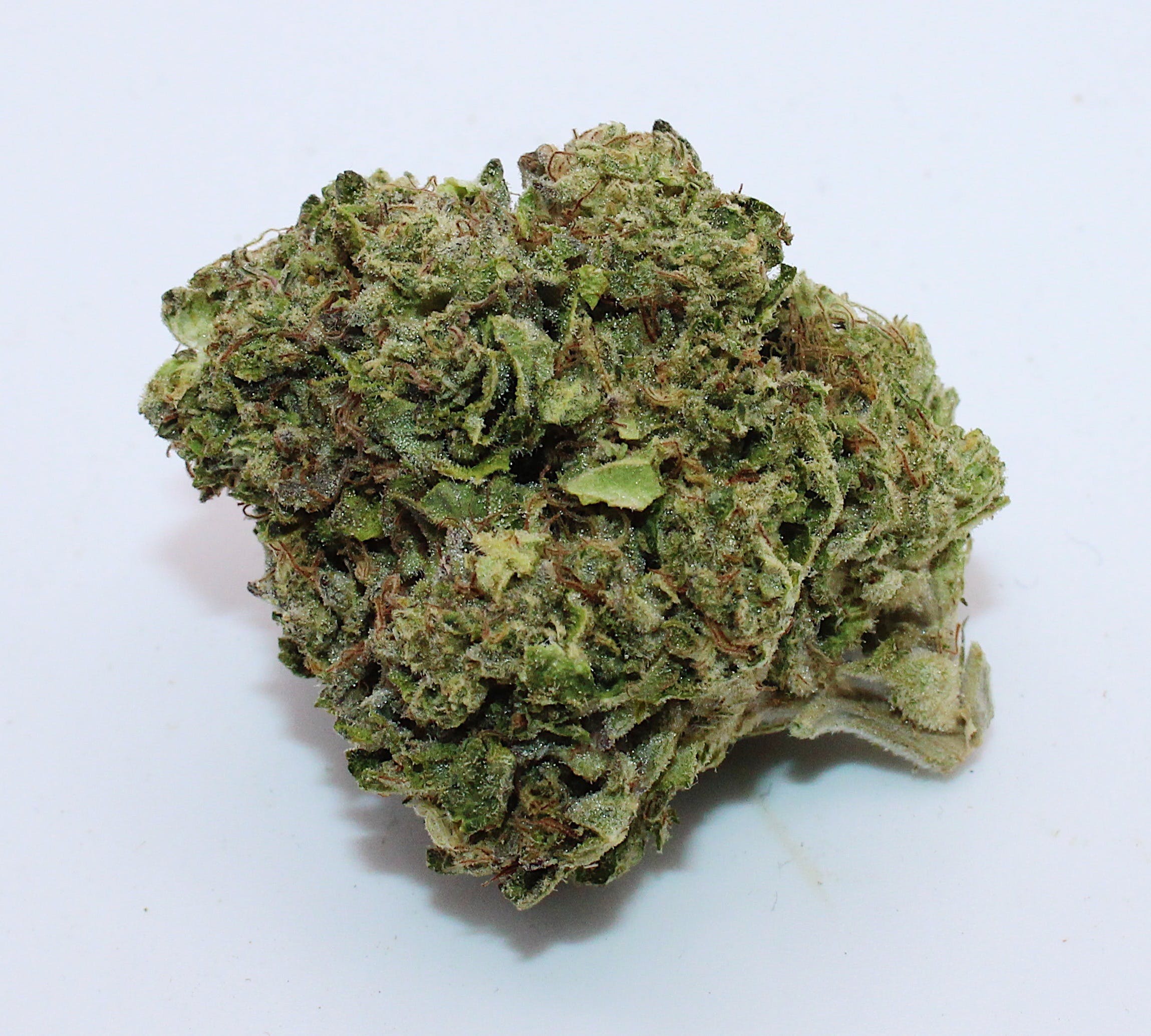 Sugar Cookie 1/2 Ounce/14GRams(27%THC,HYBRID)