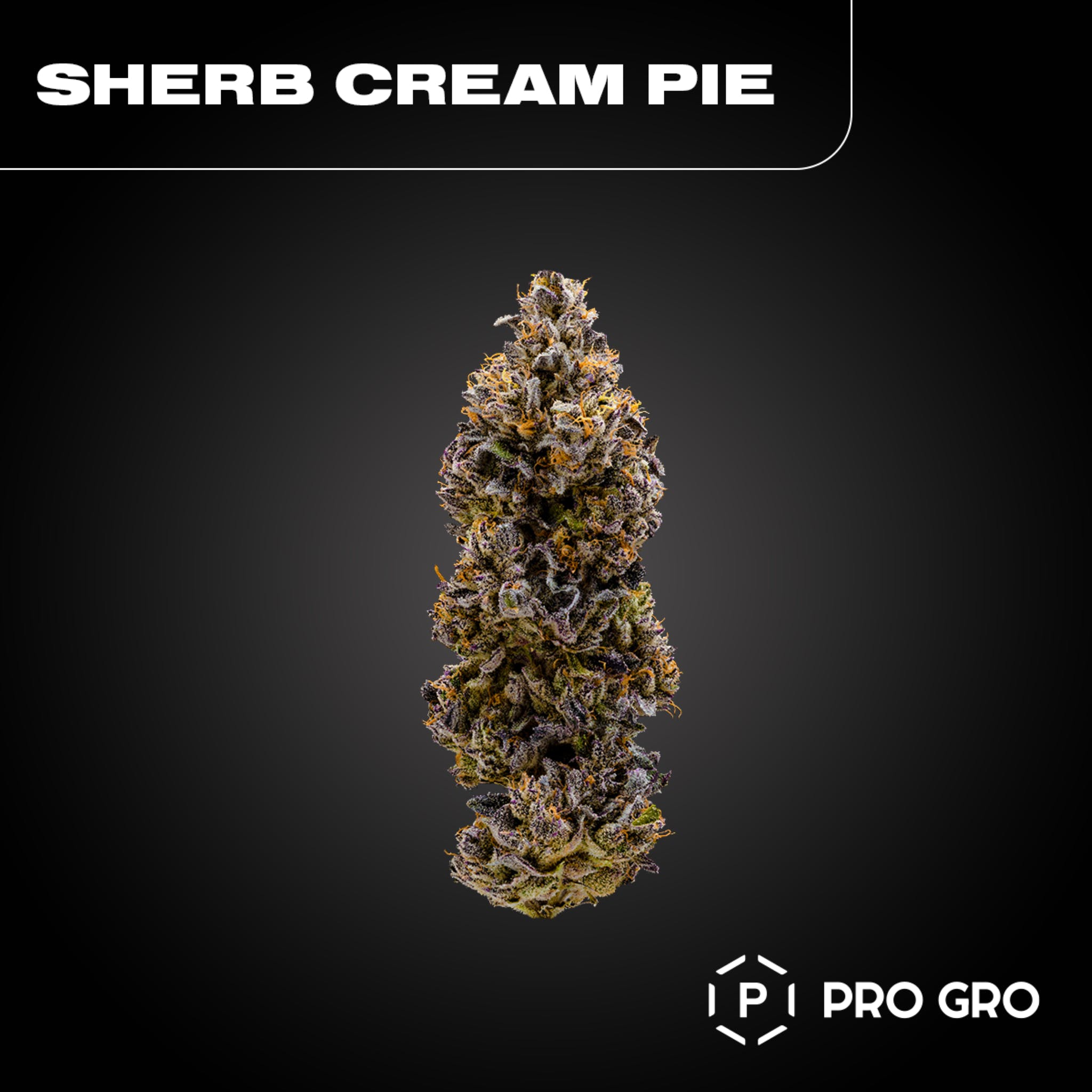 Sherb Cream Pie