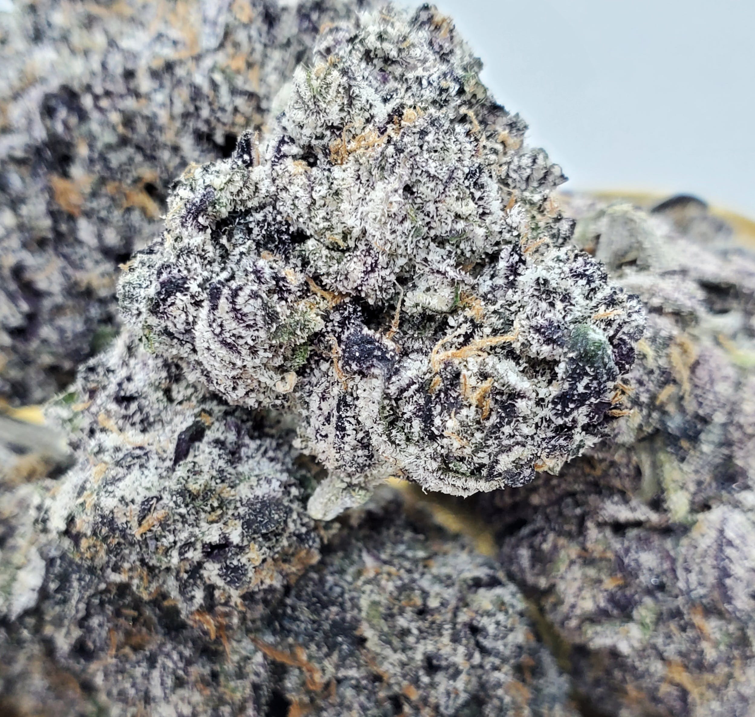 Frosted Cherry Cookies