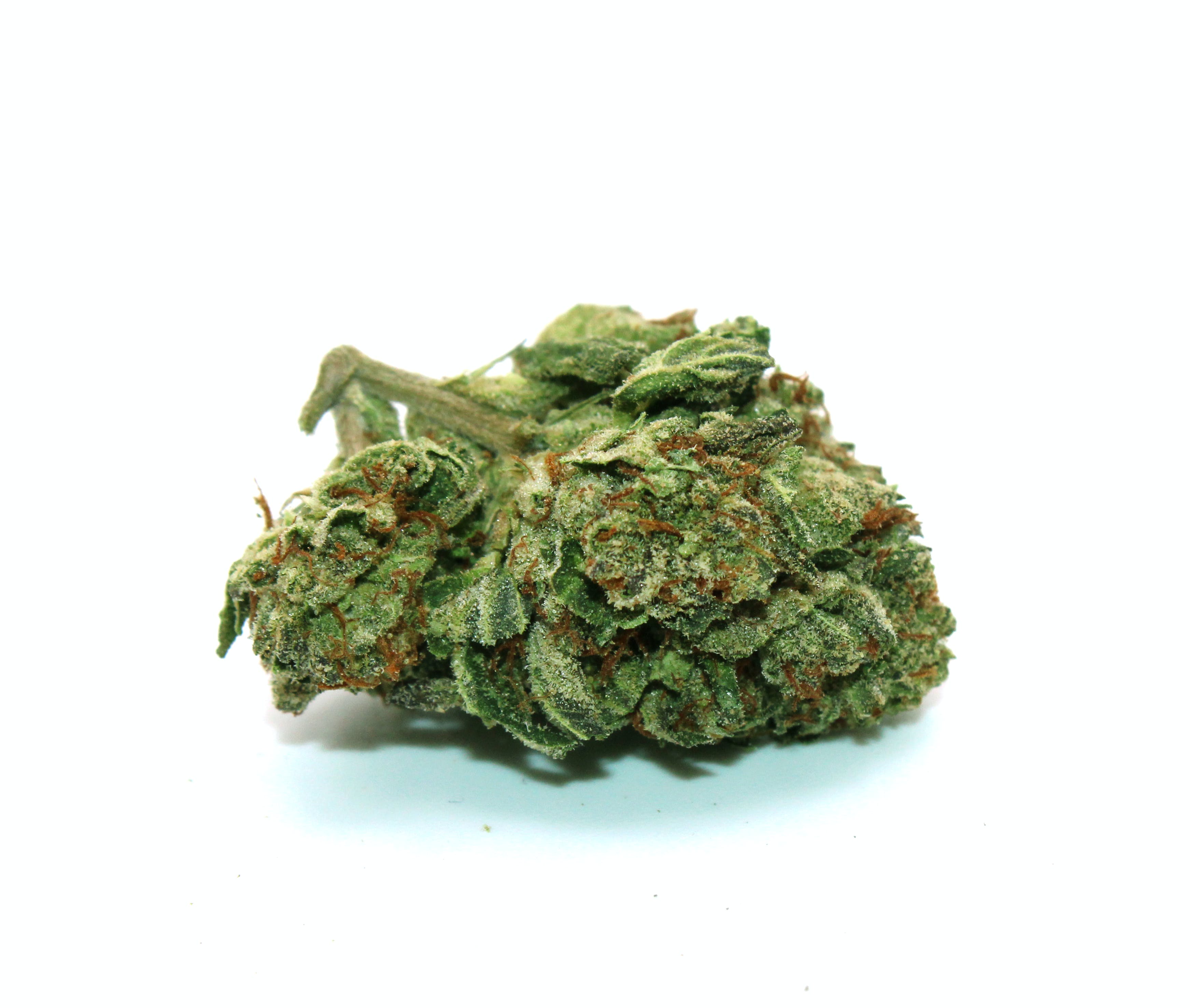 Gelato 41 1 Gram (29% THC, HYBRID)