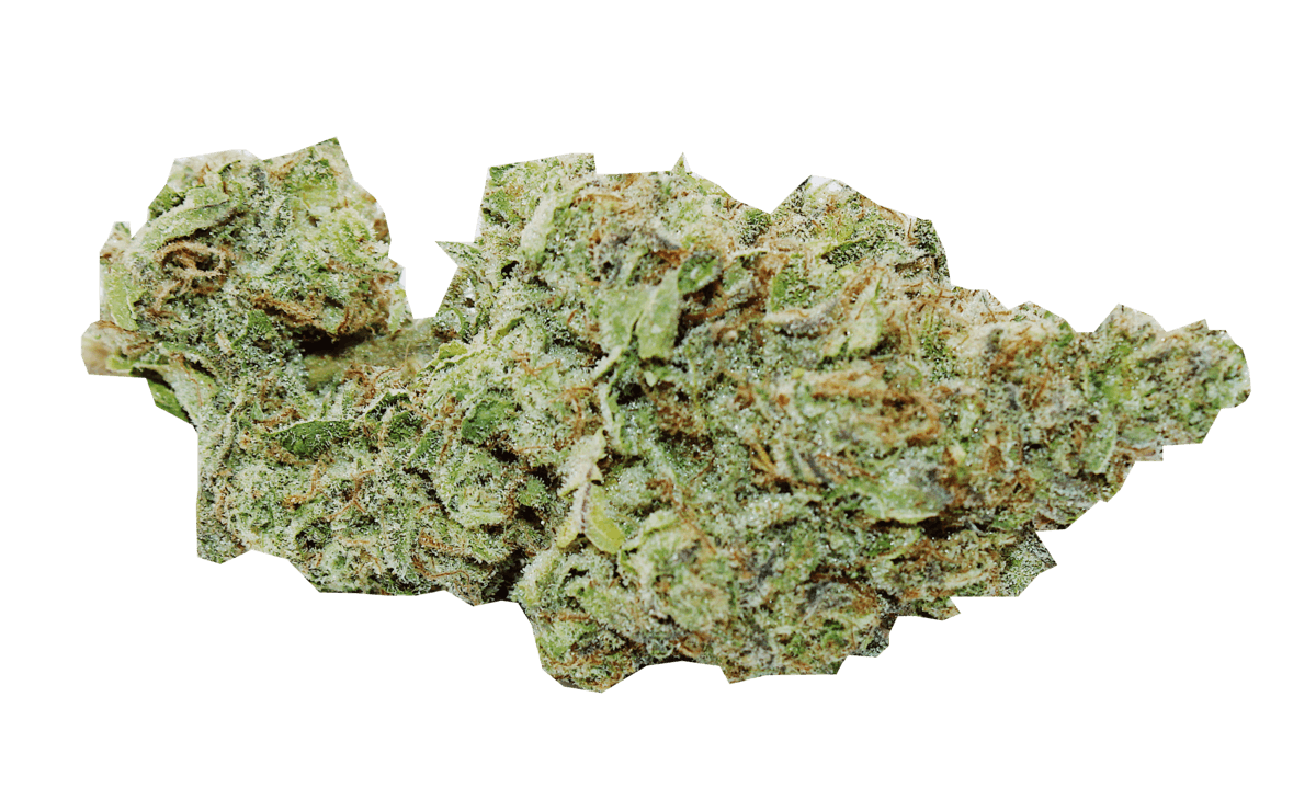 Gelato Jet Fuel 1 Gram (31% THC, HYBRID)