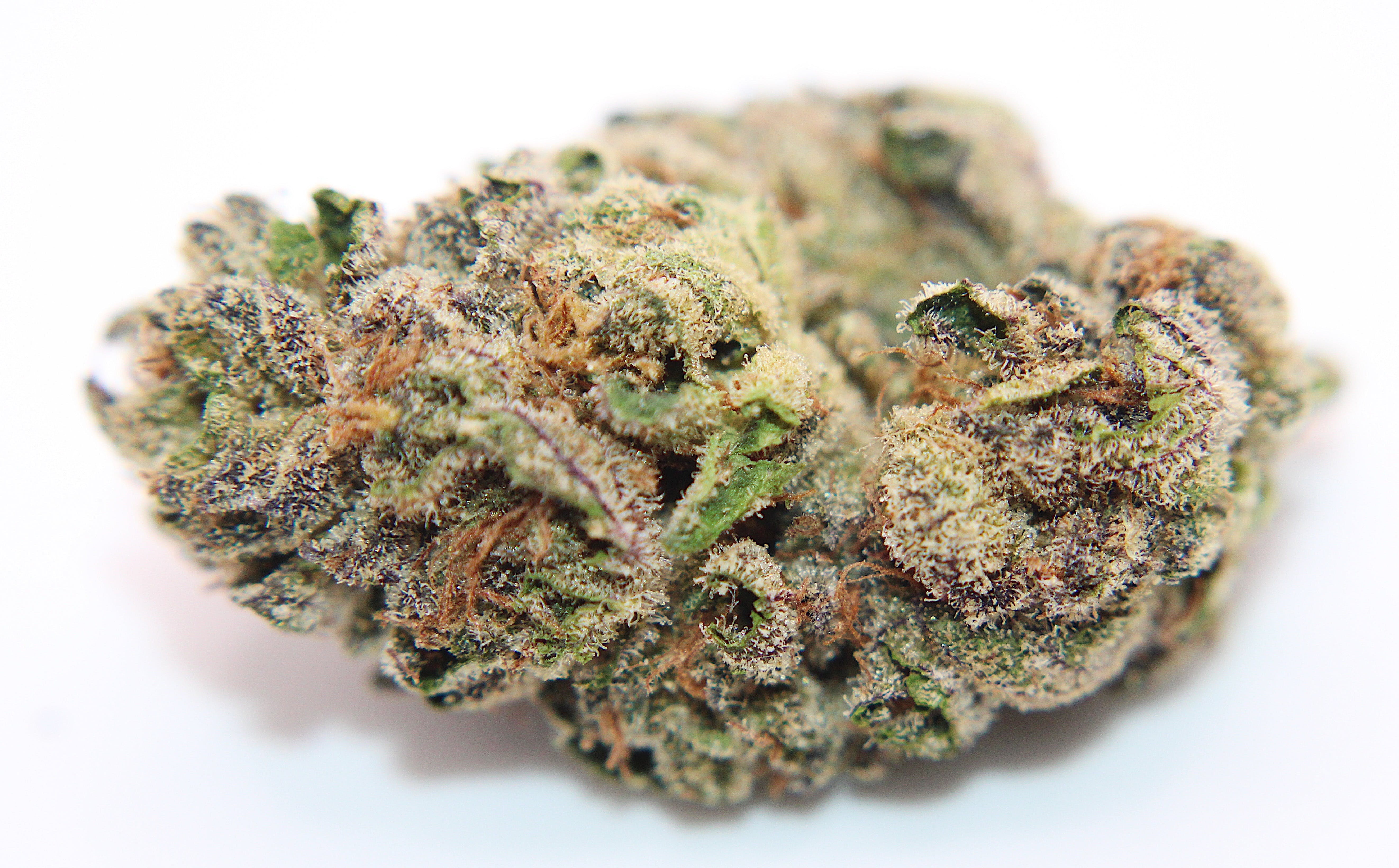 Jealousy 1/4 Ounce/3.5Grams(30%THC,HYBRID)