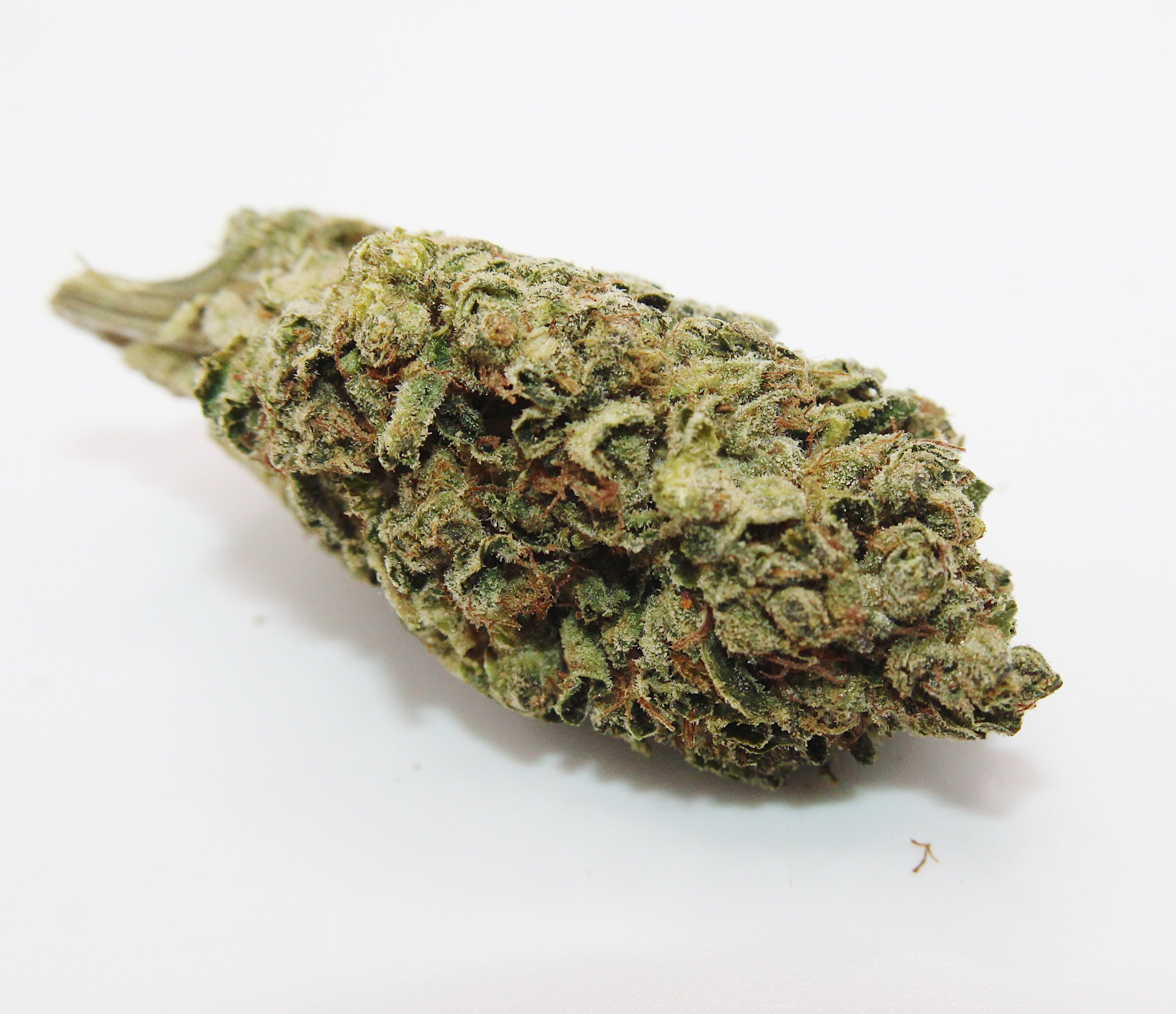 Key Lime Pie 8th/3.5Grams (25% THC, HYBRID)