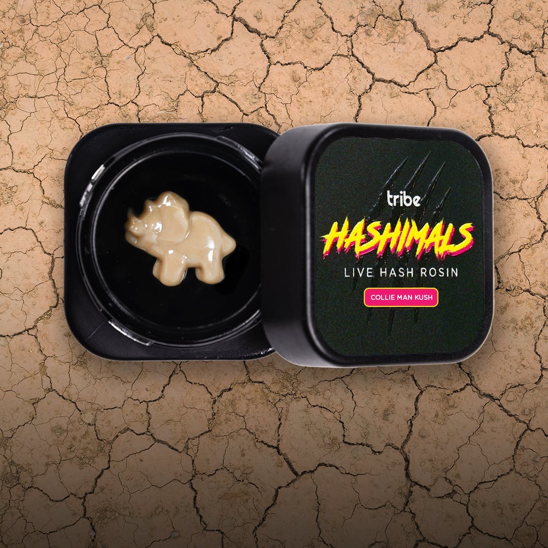 Hashimals - Triceratops - 0.5 Grams