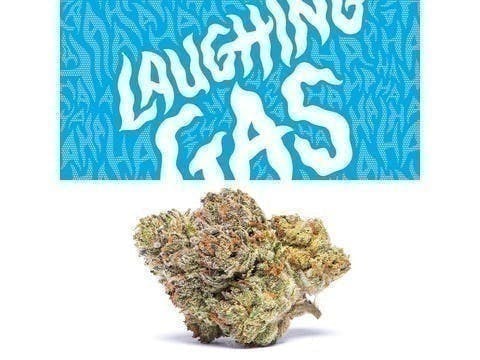Cookies - Laughing Gas