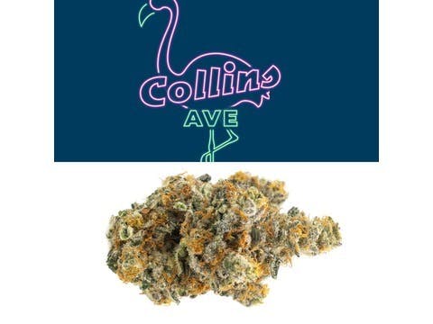 Collins Ave - Collins Ave