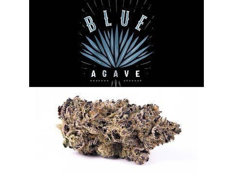 Cookies - Blue Agave