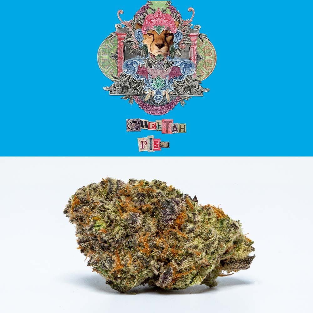 Cookies - Cheetah Piss