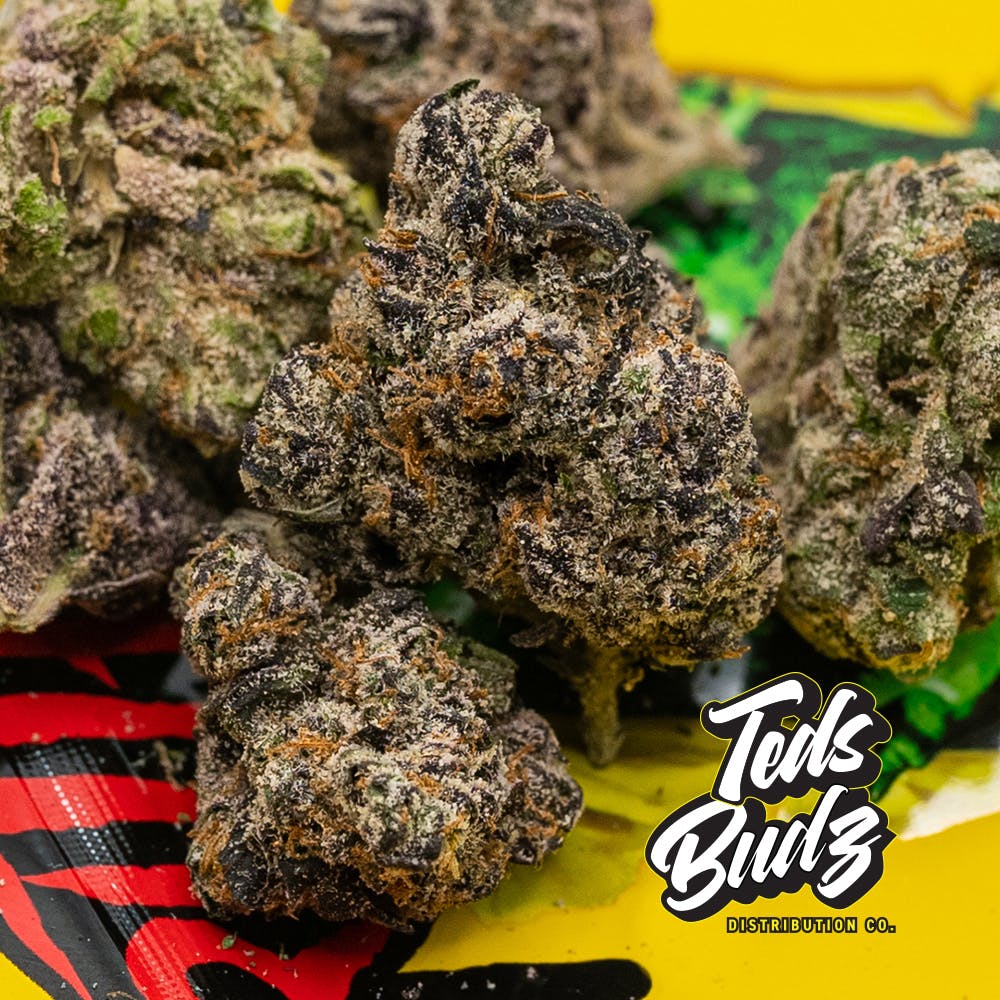 Critterz - The Smoker's Club