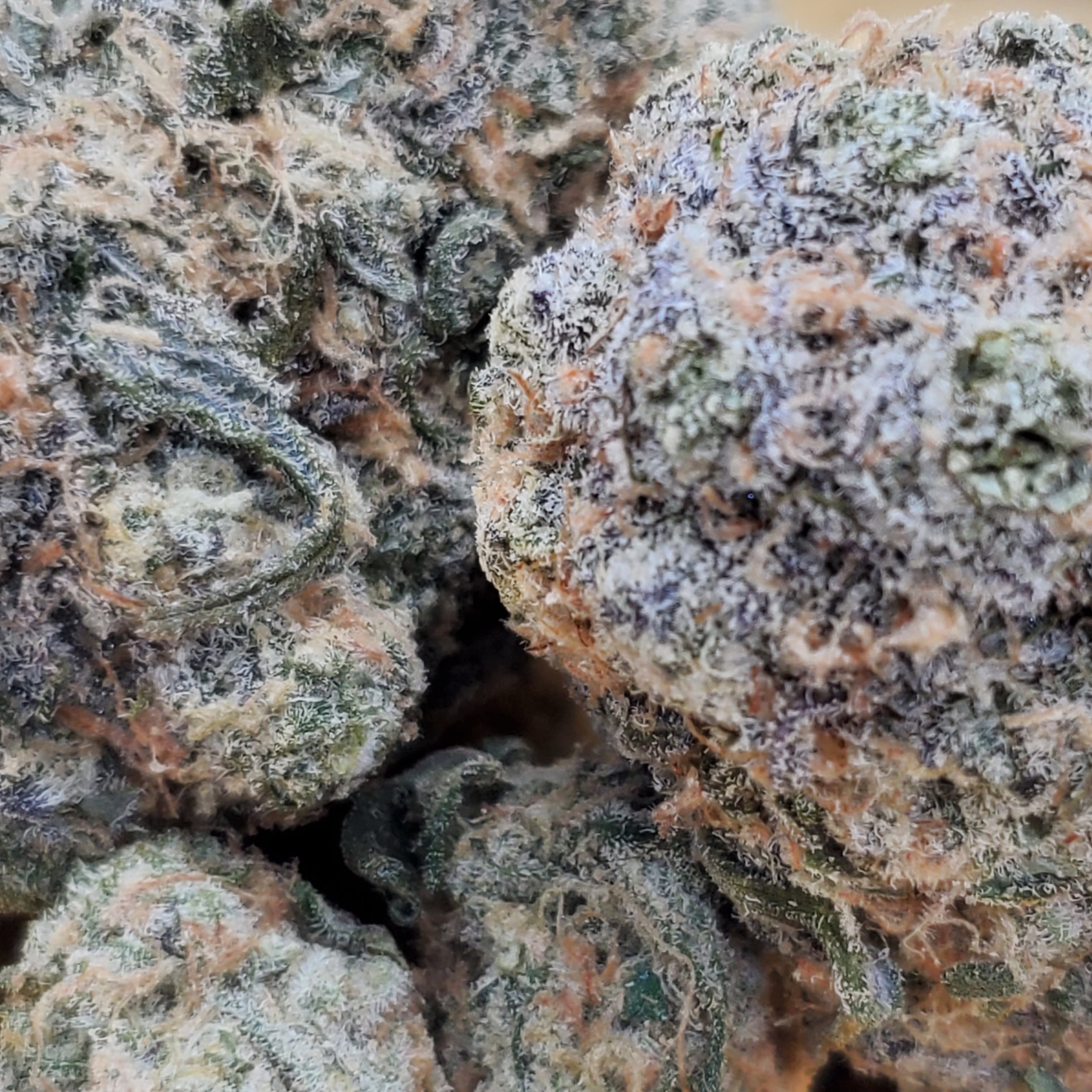 Blue Dream