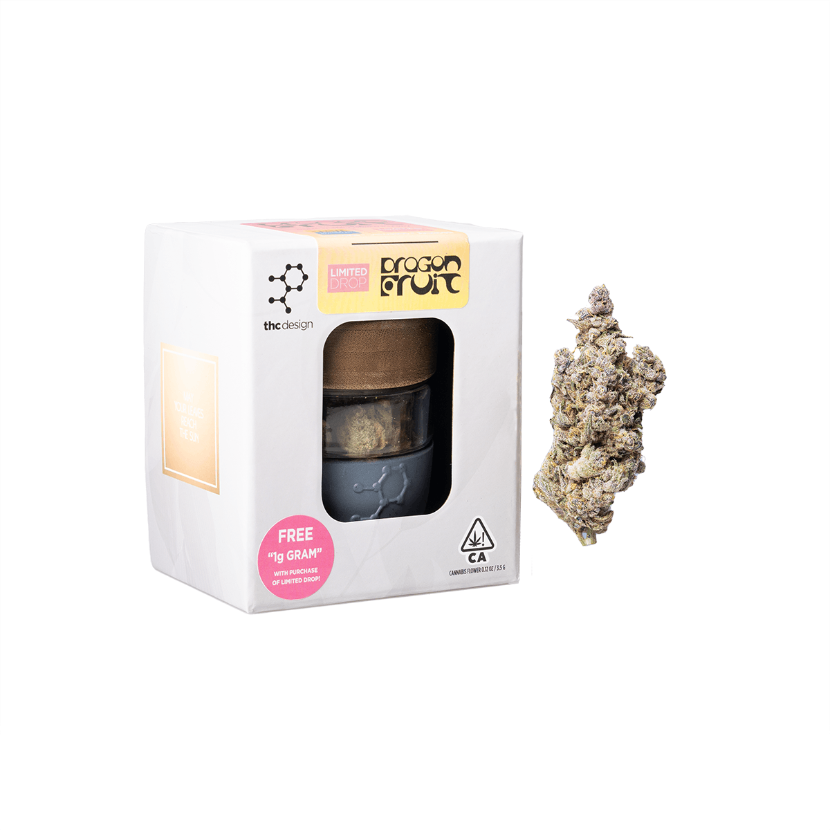 THC Design Dragon Fruit