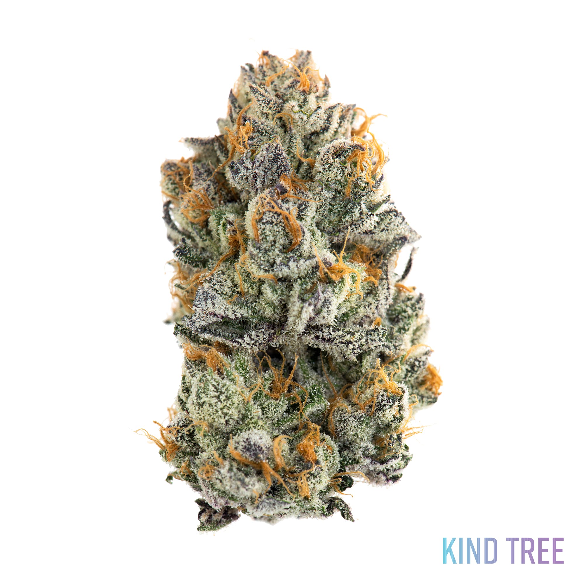 Frosted Melon Gelato