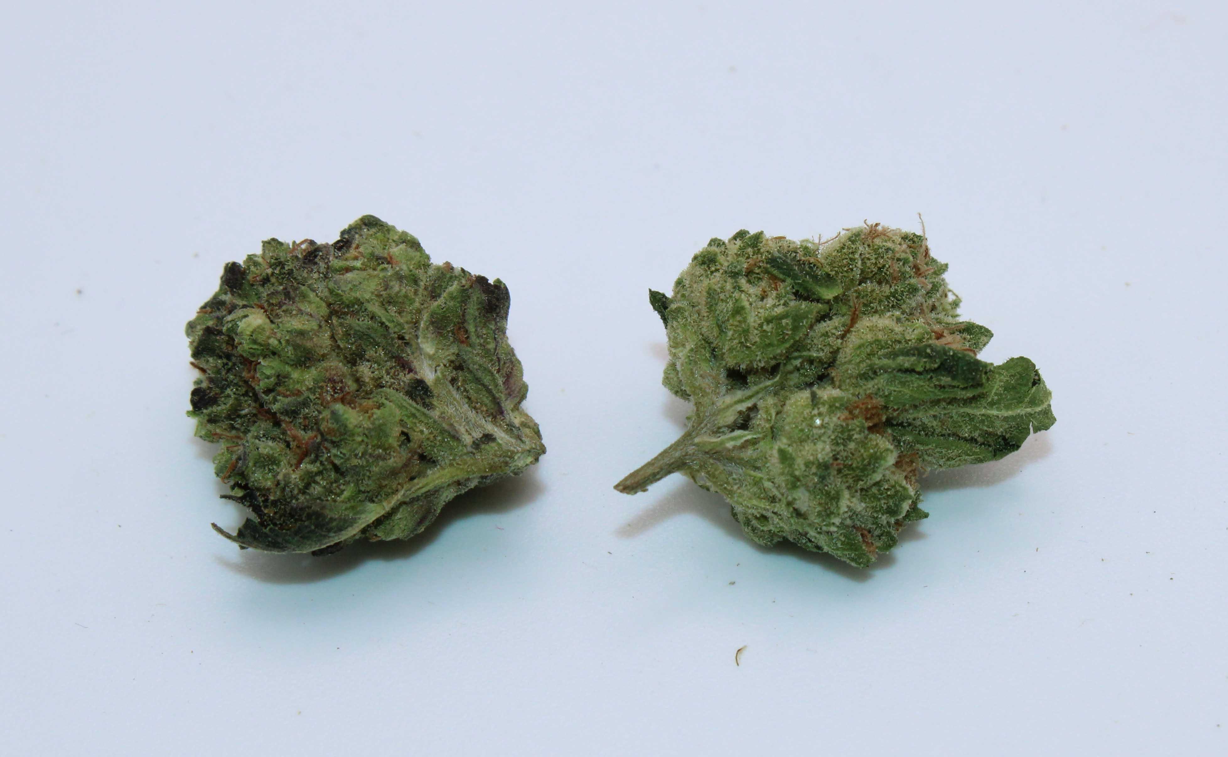 Cookies Smalls Ounce/28.3Grams(24%THC,INDICA)