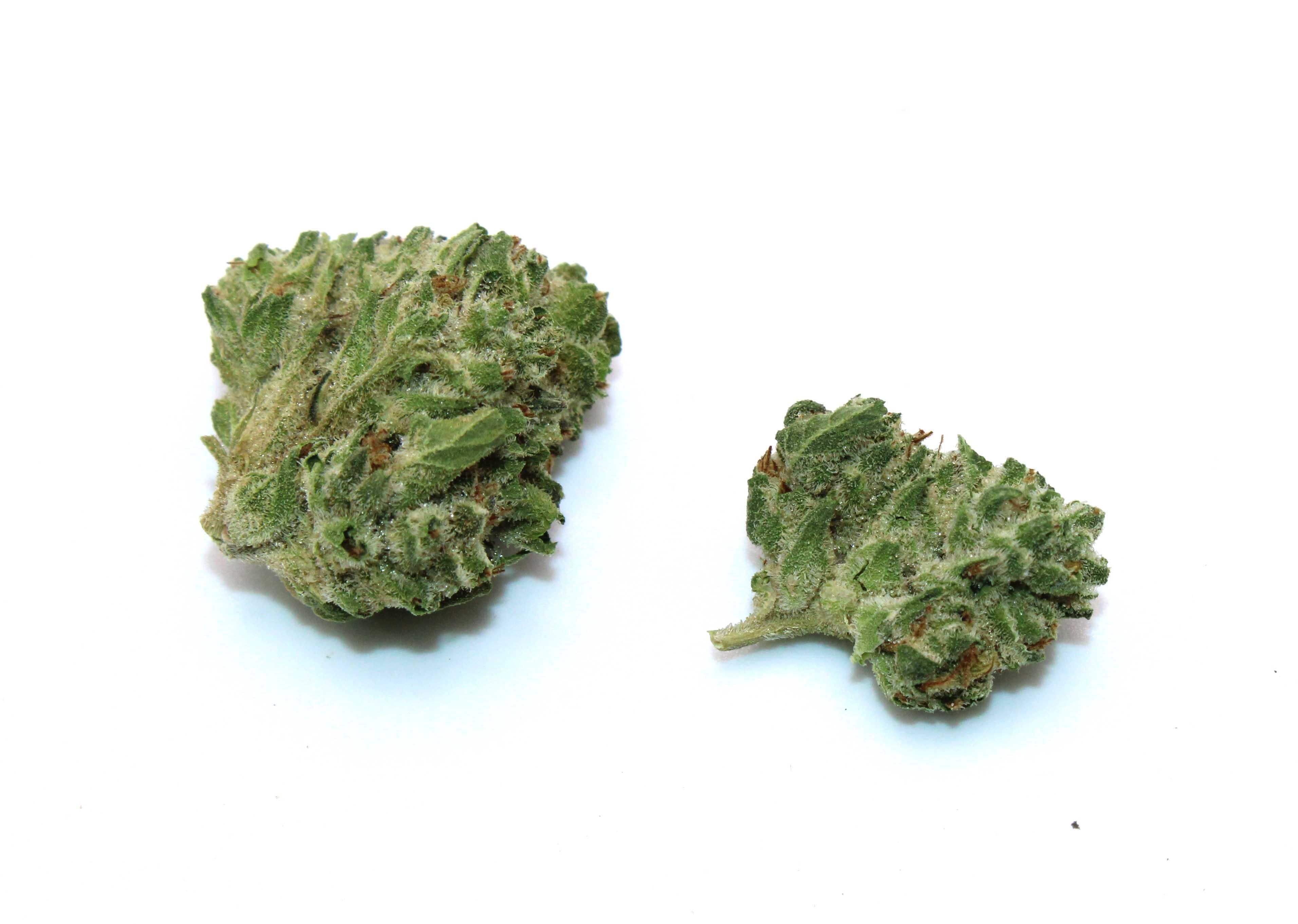 Gush Mints Smalls 1/2 Ounce/14Grams(25%THC,HYBRID)