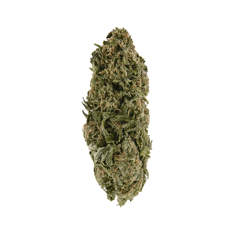 Signature - GDP (I) - 28g